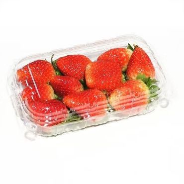 Strawberry Egypt